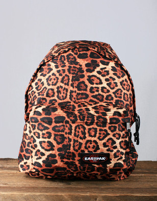 eastpak tordi